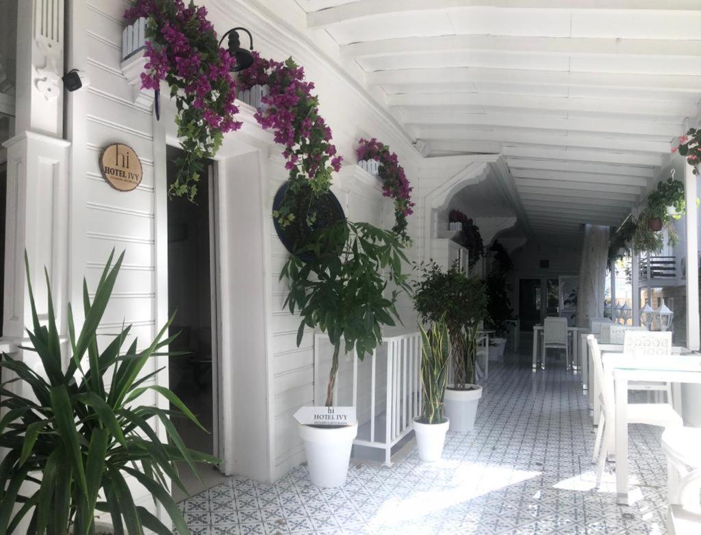 Hi Hotel Ivy Bueyuekada Адалар Экстерьер фото